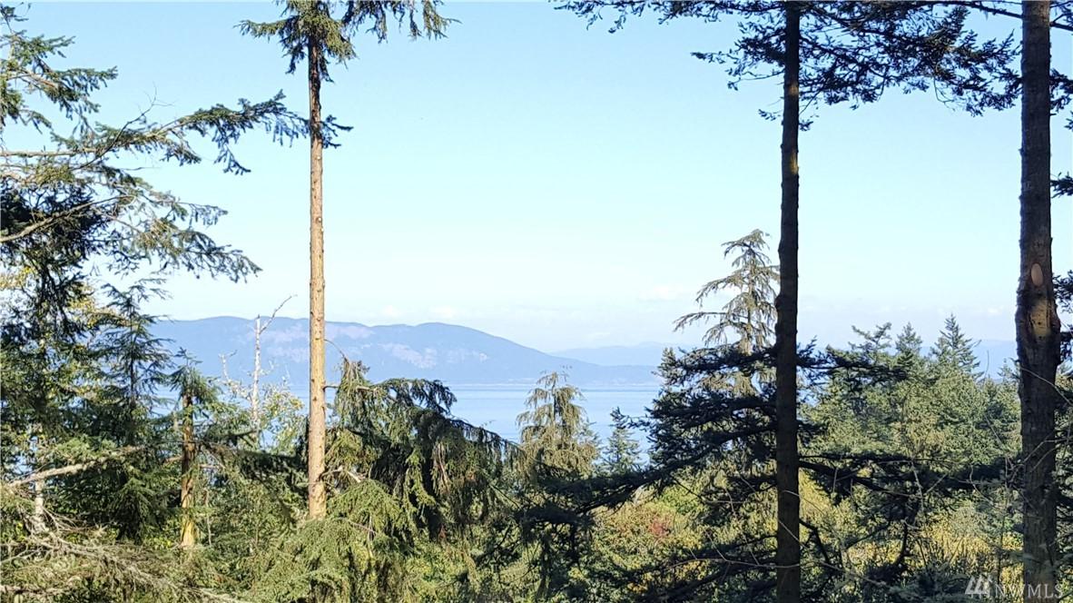 0 Lot 22, 23 Obstruction Pass Rd - Photo 1