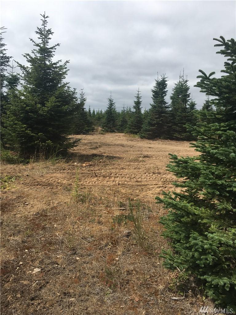 0 Phillips Rd - Photo 1