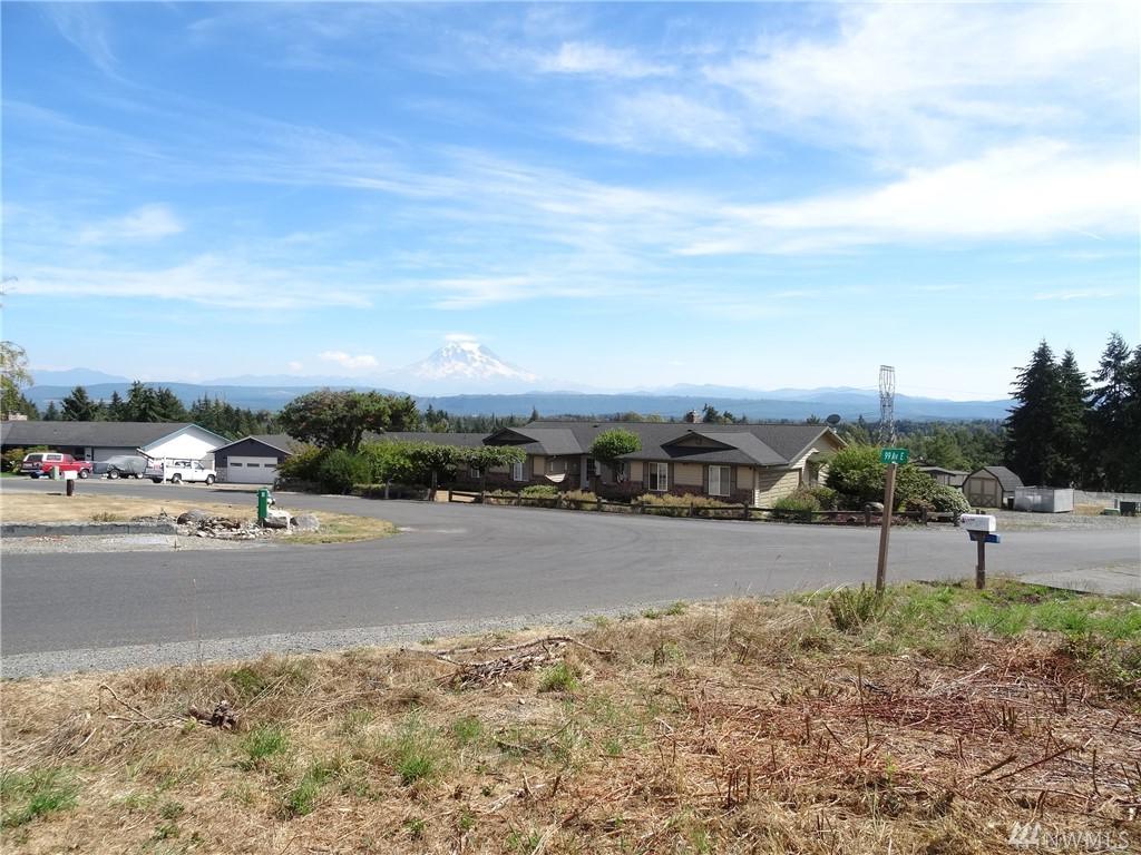 0 99th Ave - Photo 1