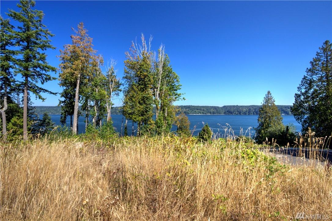 0-Lot I Nelson Rd - Photo 1