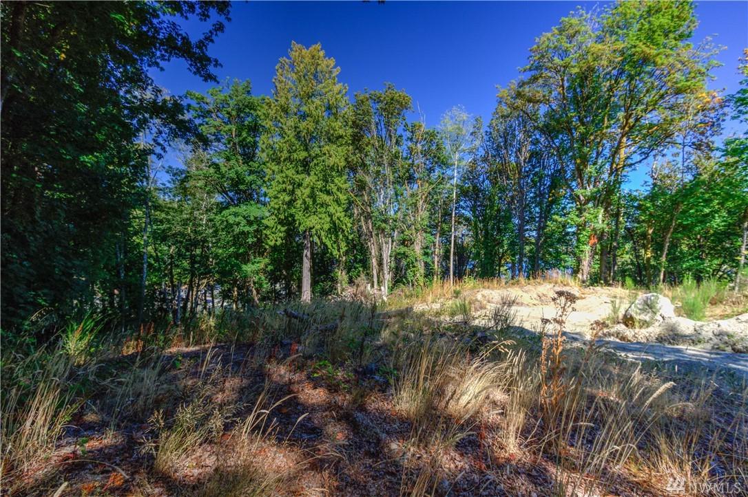 0-Lot O Nelson Rd - Photo 1