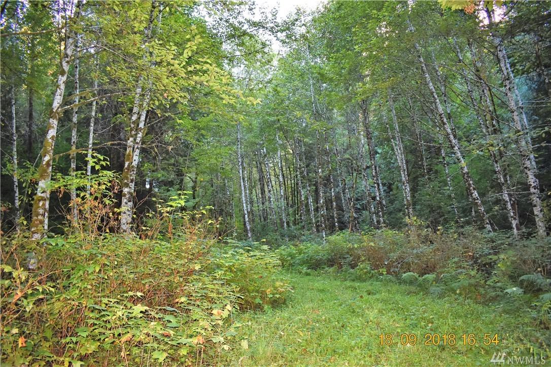 0 Mountain Loop Hwy - Photo 1