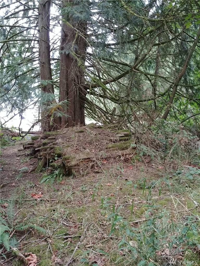 0 Winlock Vader Rd - Photo 1
