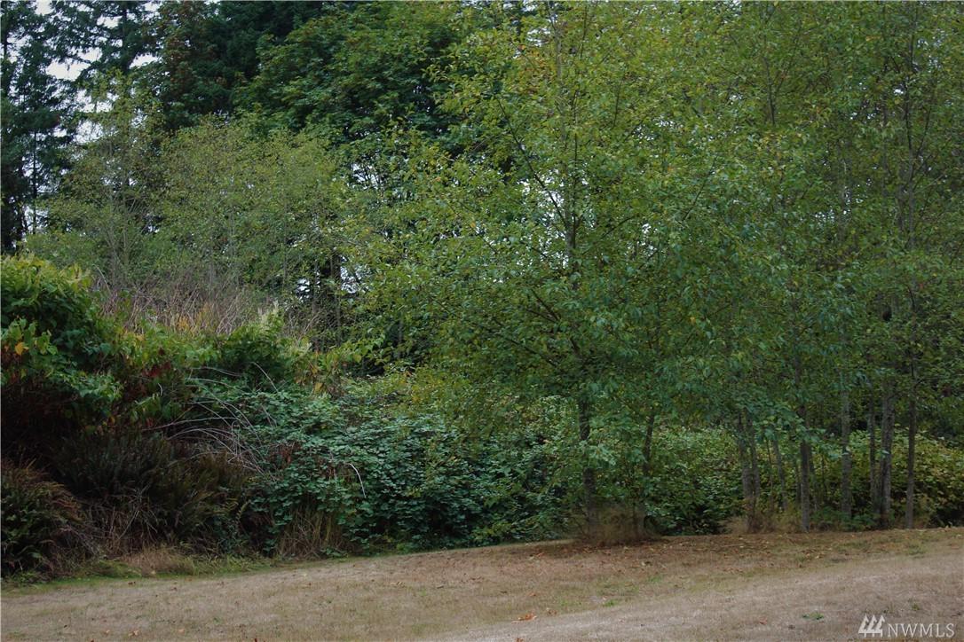 43 #Lot Quarry St - Photo 1