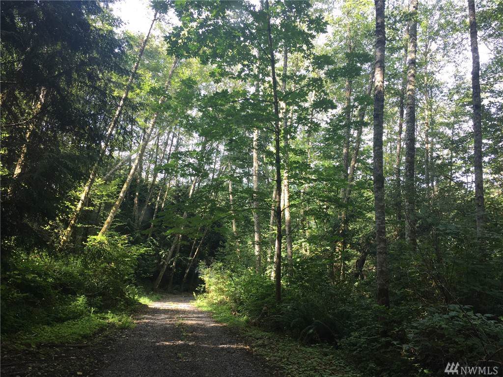 0-Lot 4 Gemini St - Photo 1