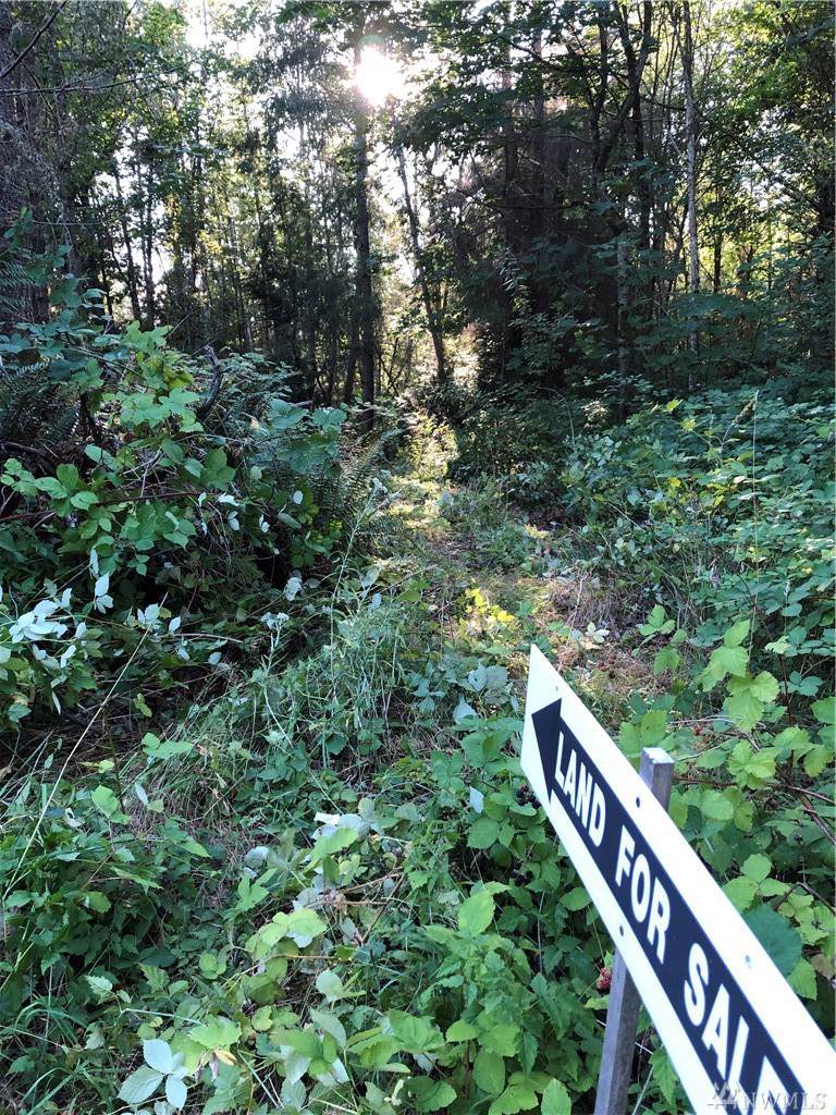 1 Dewberry - So. Kingston Rd - Photo 1