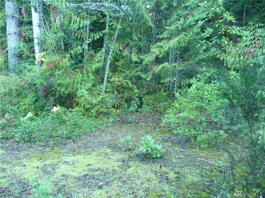 0-lot 23 Seal Dr - Photo 1