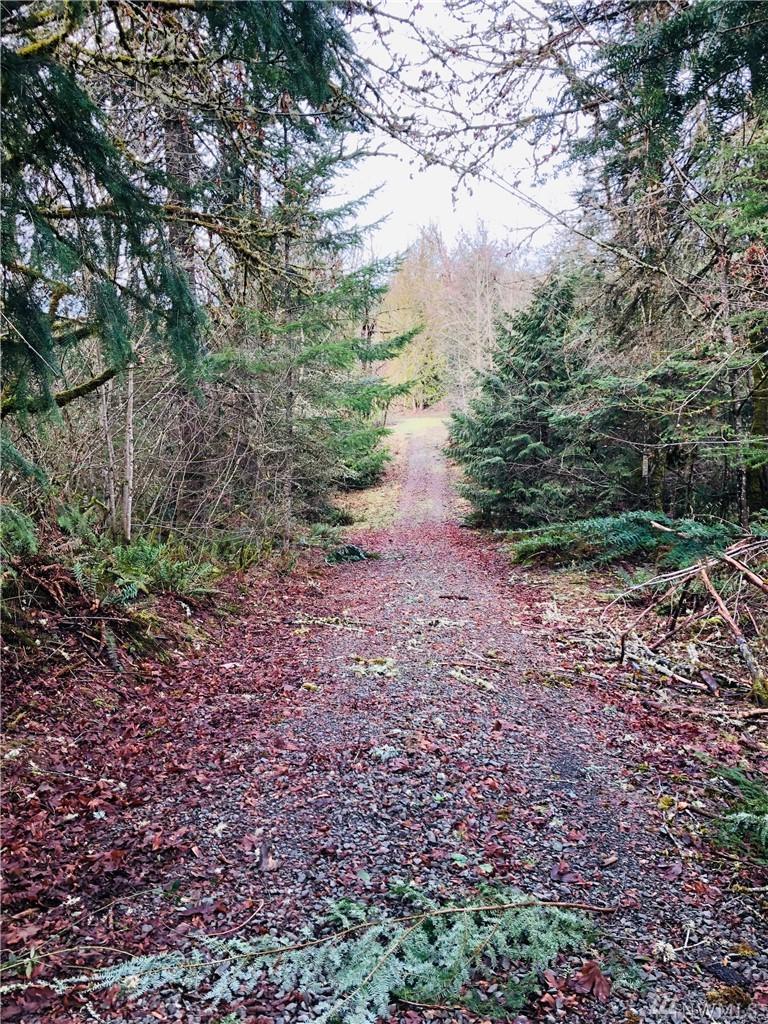 0 Daniels Rd - Photo 1