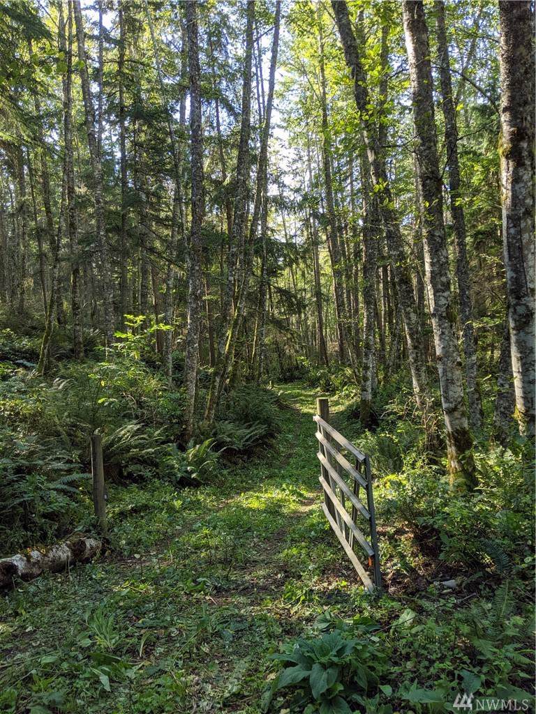 0 Turningleaf Lane - Photo 1