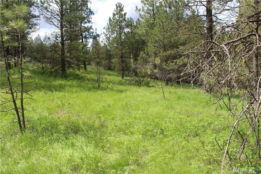 10413 Brooks Rd - Photo 1