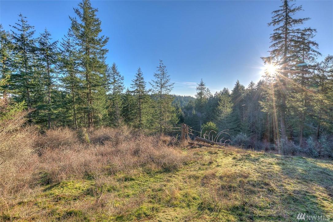 4489 Point Lawrence Rd - Photo 1