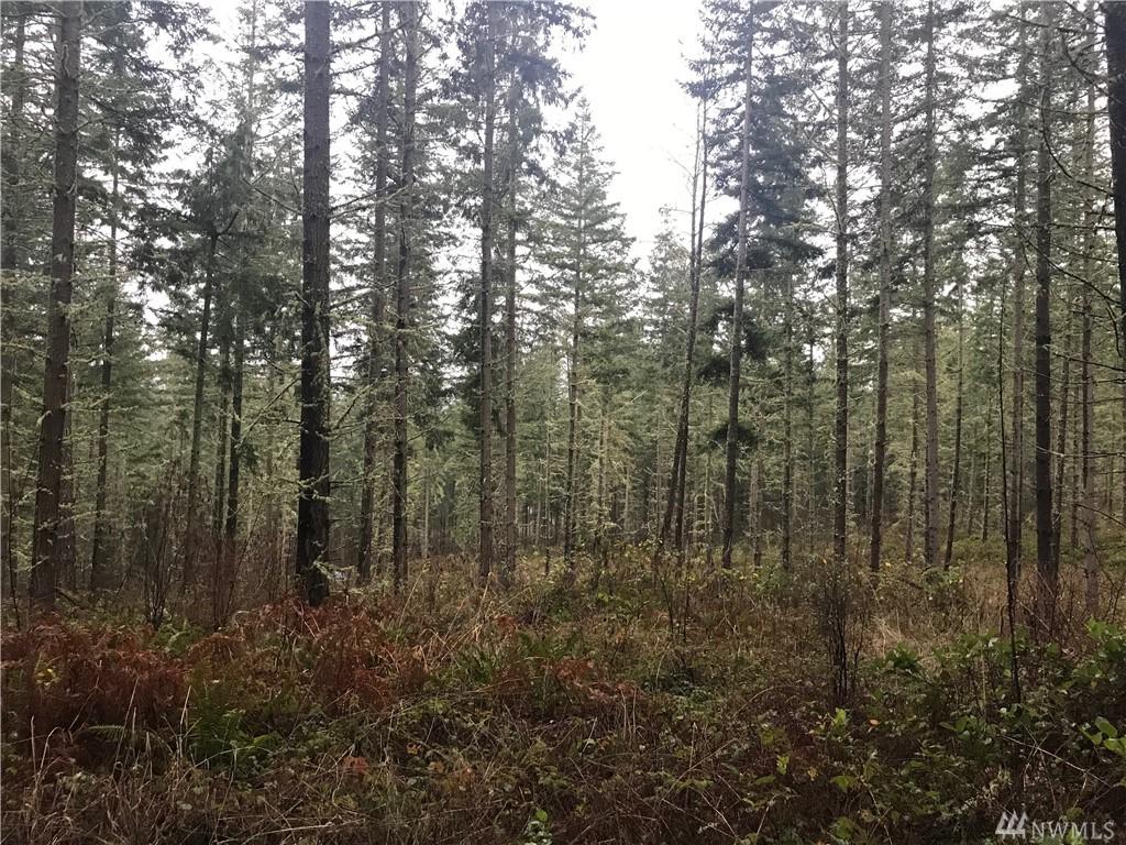 0-xxx 36th Ave - Photo 1