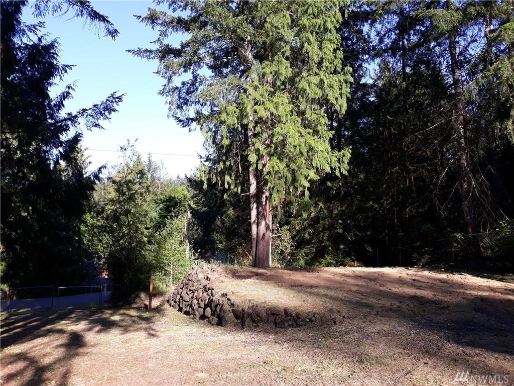 380 Twanoh Falls Dr - Photo 1