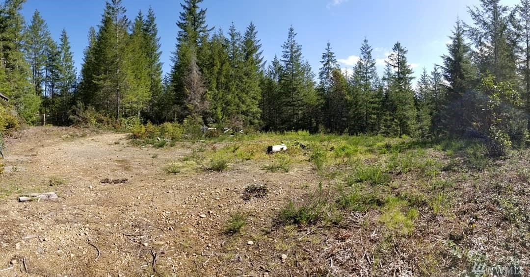 17 Ludvick Lake Lot 17 Dr - Photo 1