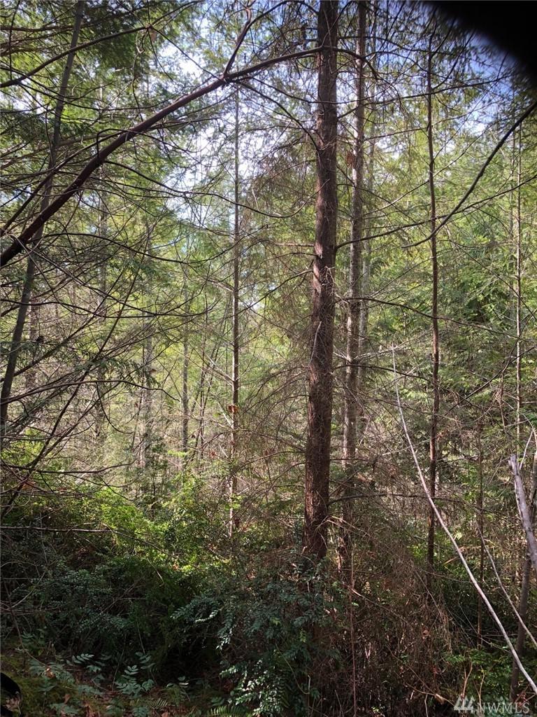 0 Lot 7 Garons View Lane - Photo 1