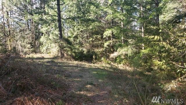 2641 28th Ave - Photo 1