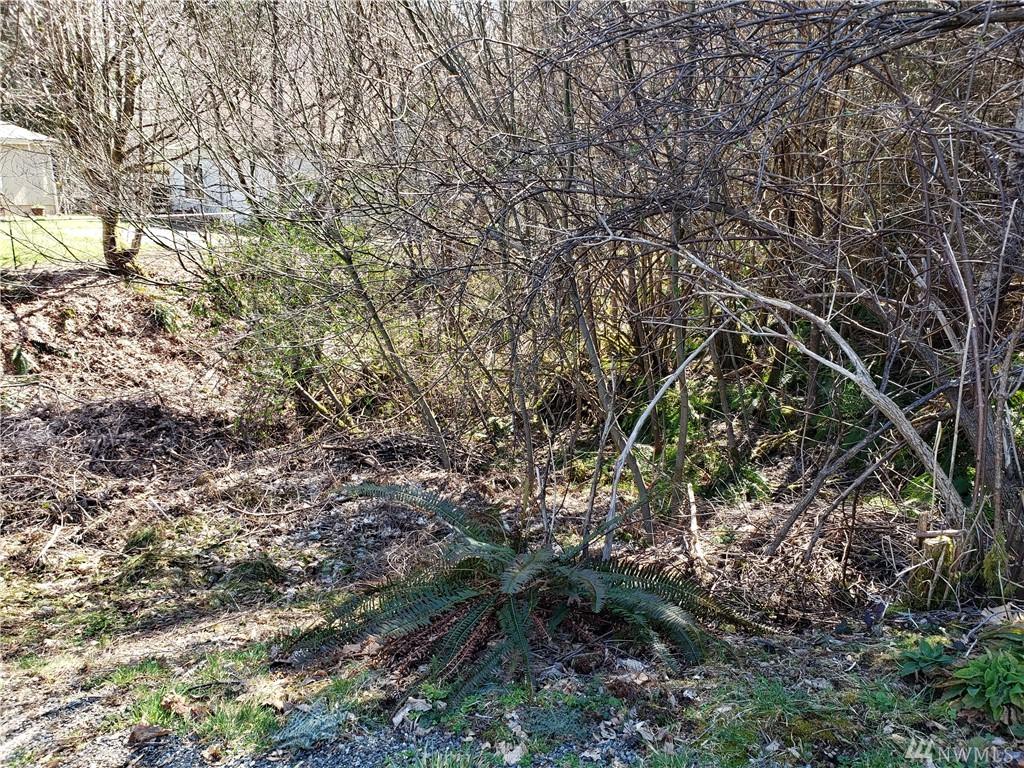 0-Lot 12 Lakeside Dr - Photo 1
