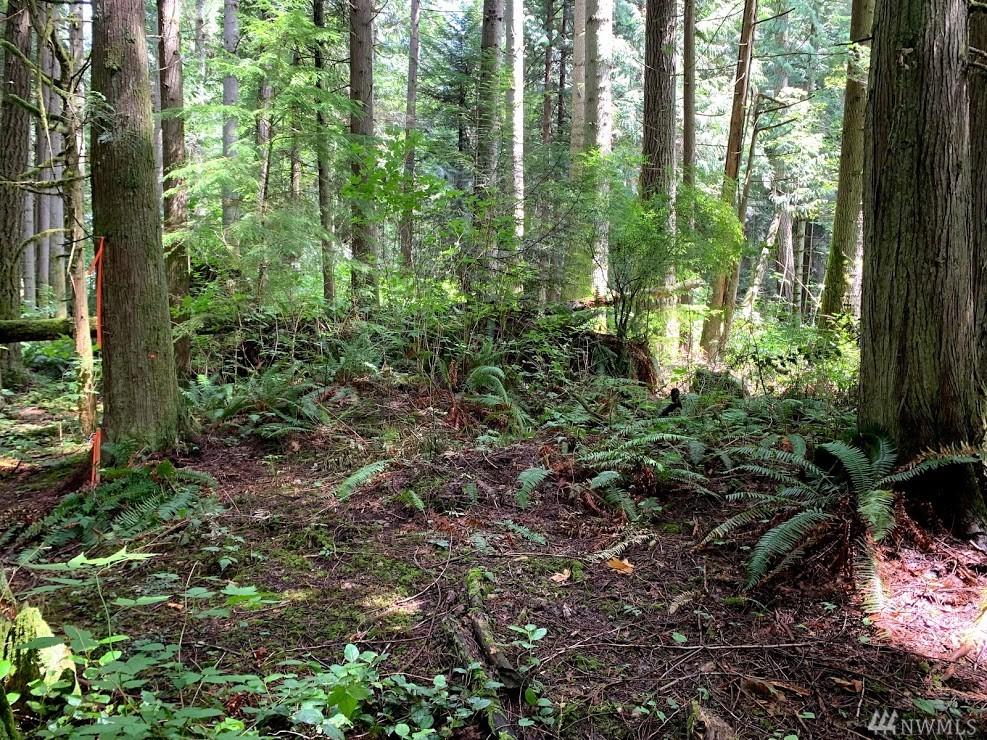 0-Lot B Iron Lane - Photo 1