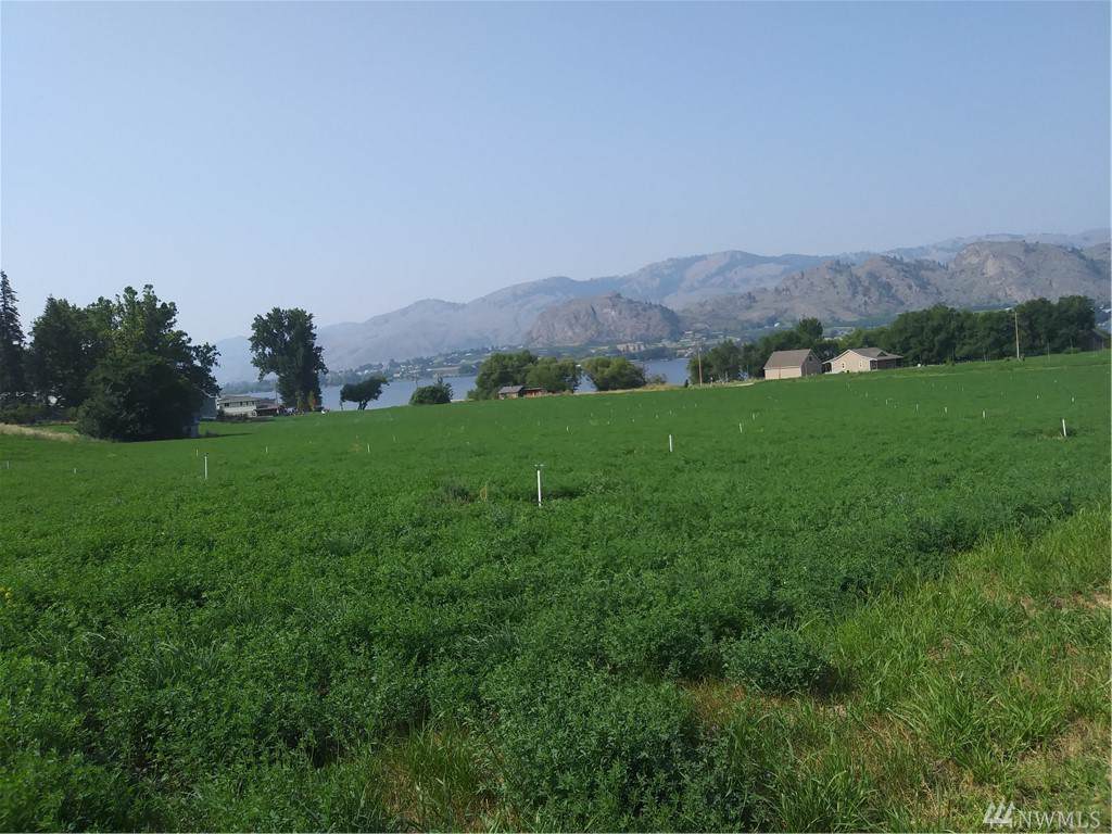 141 Eastlake Road - Photo 1