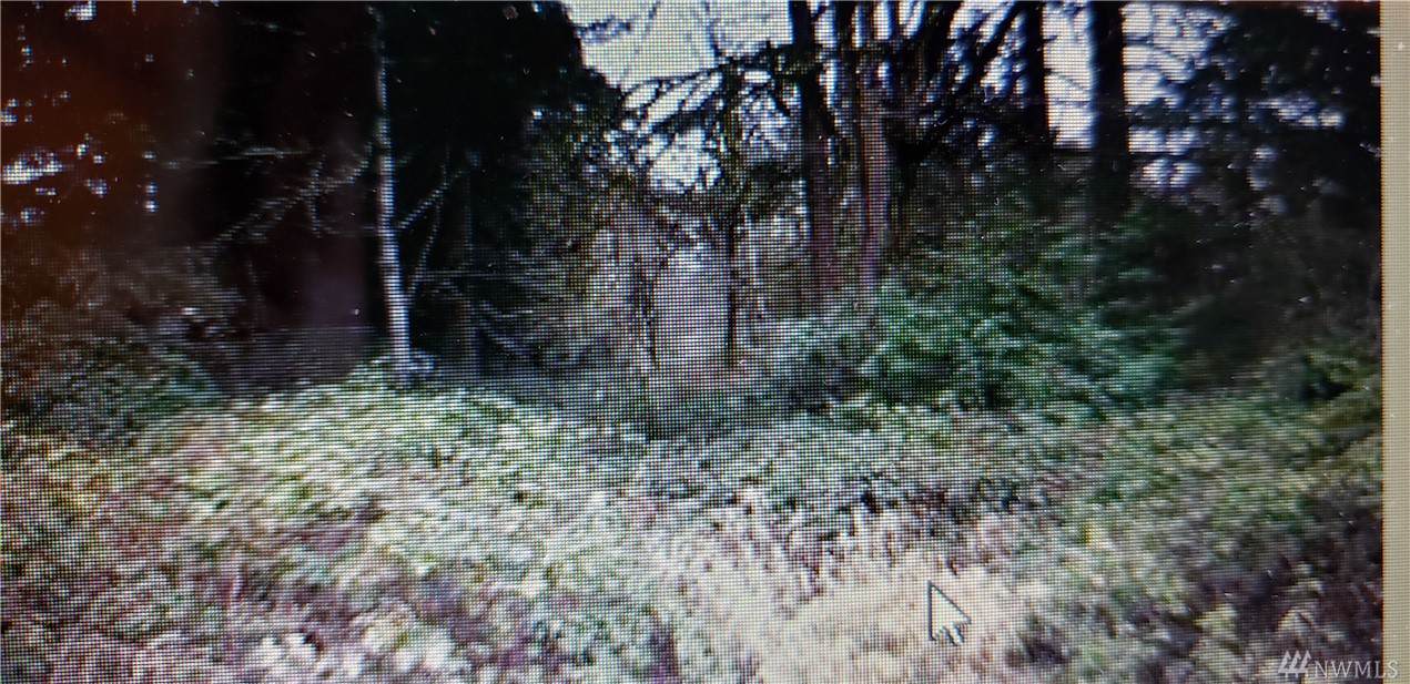 371-XX Indiana Ave - Photo 1