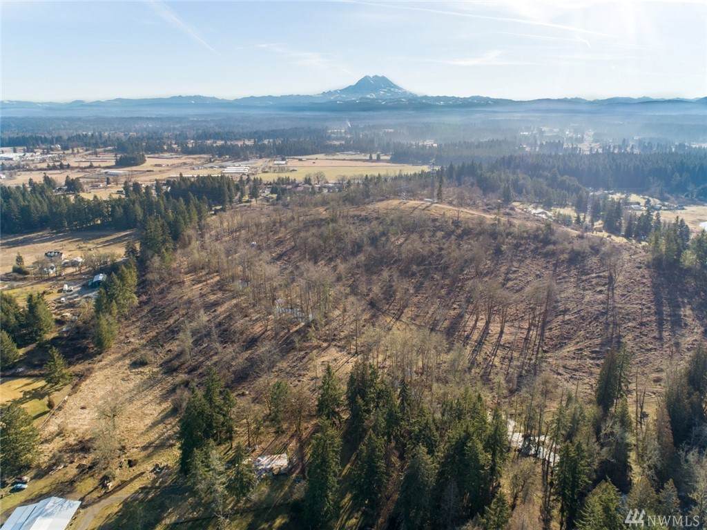 11247 Morris Rd - Photo 1