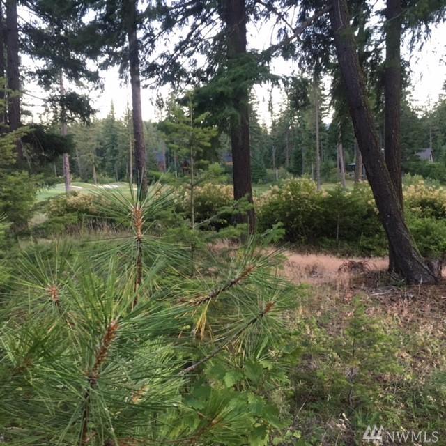 70 Thimbleberry Ct - Photo 1