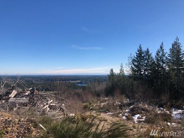 3820 Cloquallum Rd - Photo 1