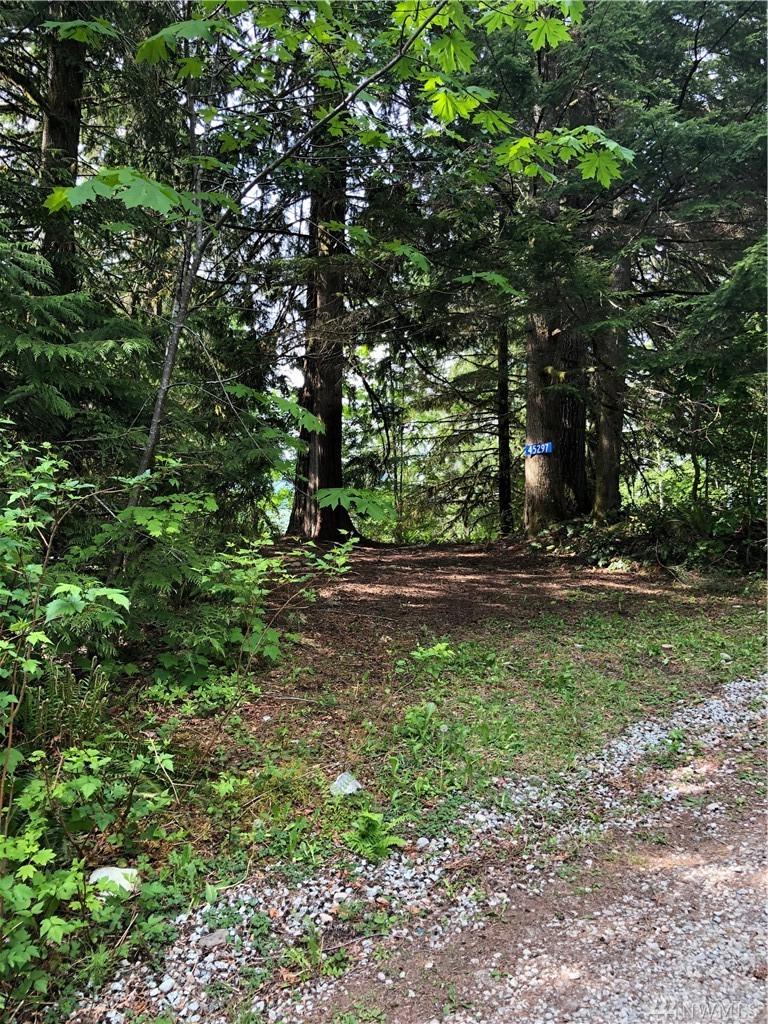45297 Kamooks Trail - Photo 1