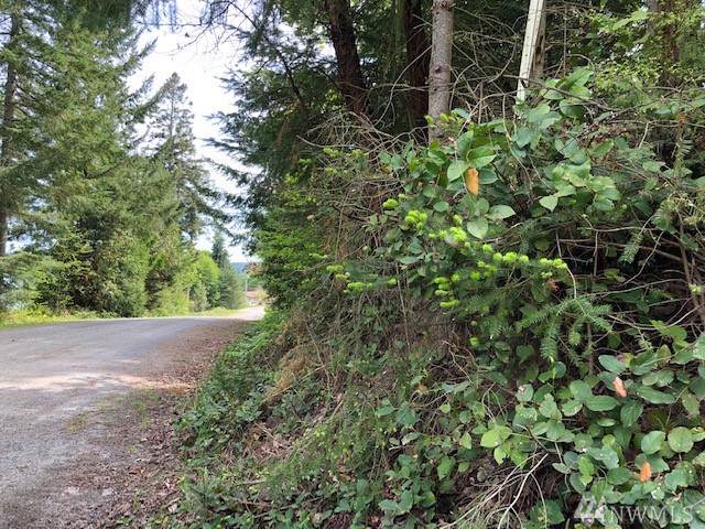 0-Lot 1 Harbor View Place - Photo 1