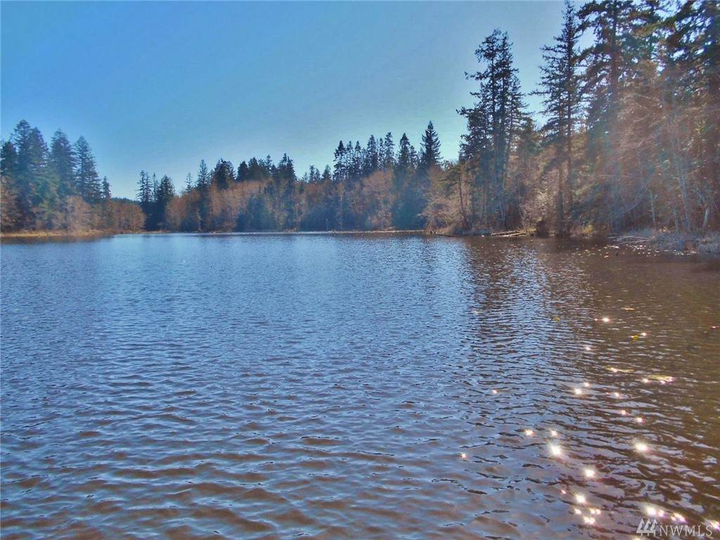 999 Rice Lake Rd - Photo 1