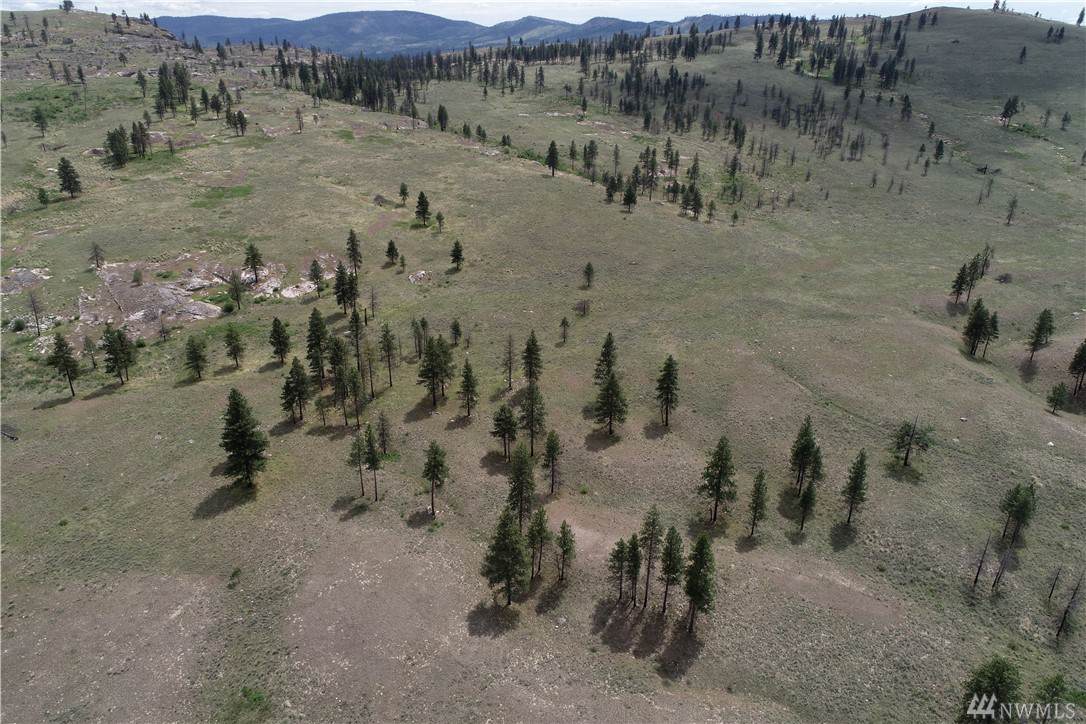 0 Omak Mountain Rd - Photo 1