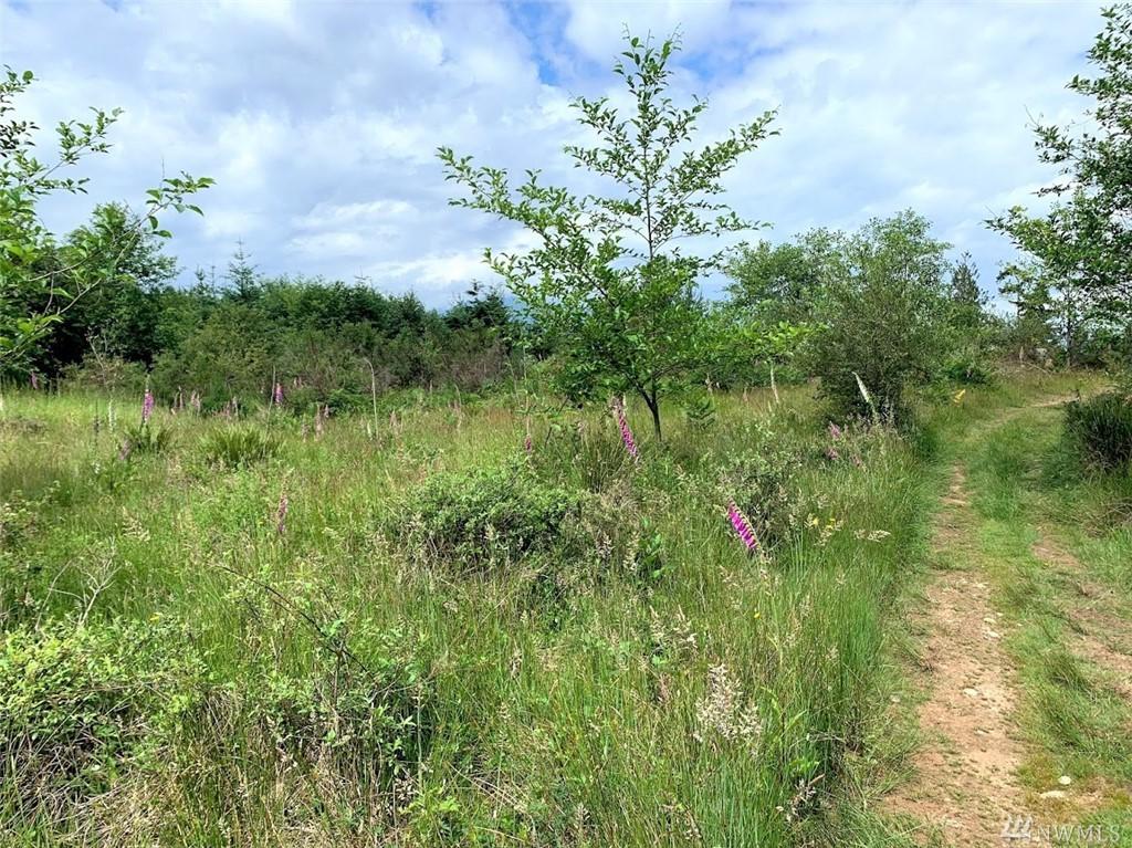 0-X Turko Lane - Photo 1