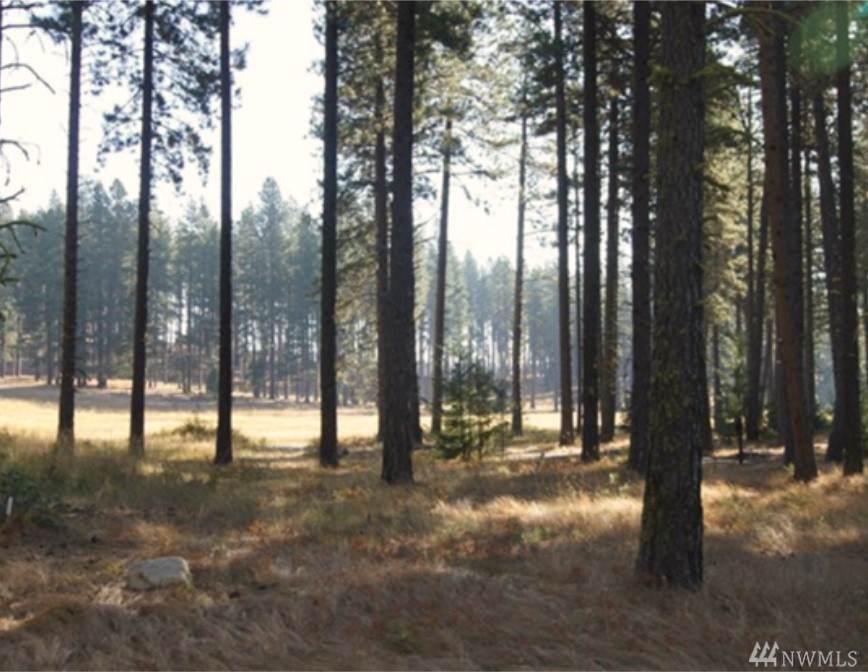 1810 Coal Mine Wy - Photo 1