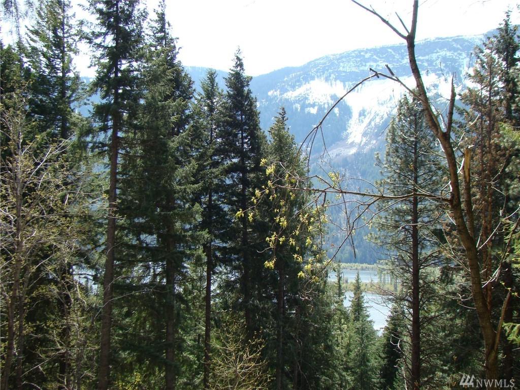 0 Lake Wenatchee Hwy. - Photo 1