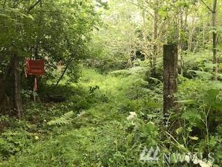 15410 Runyon Rd - Photo 1