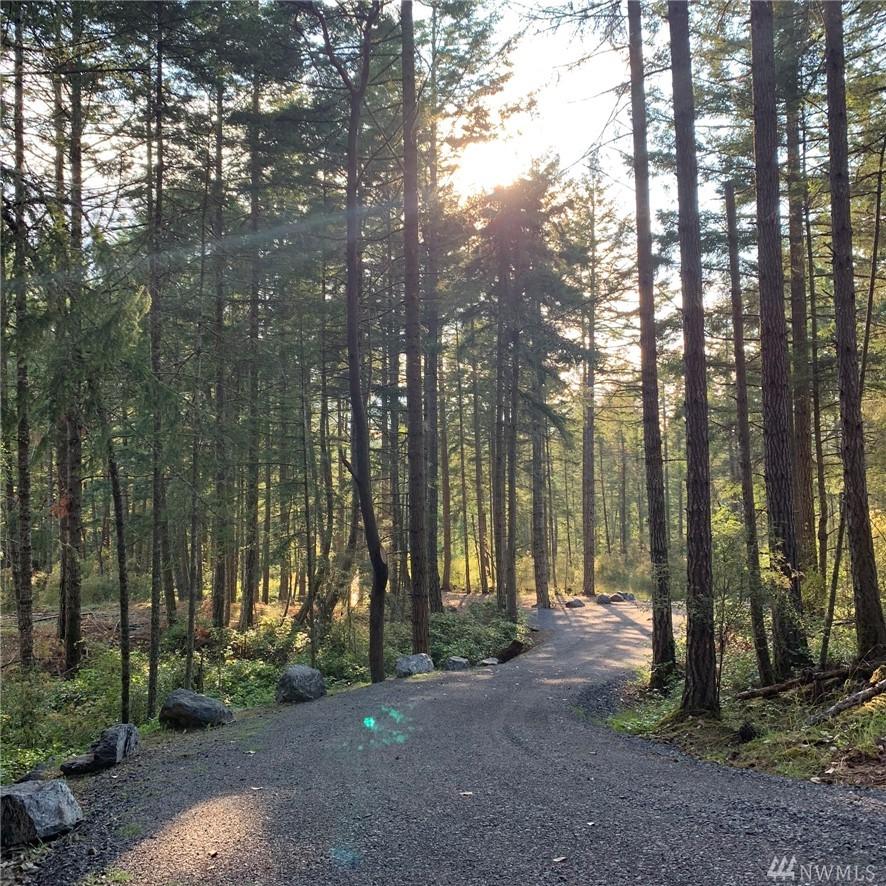 129 Tin Cup Trail - Photo 1