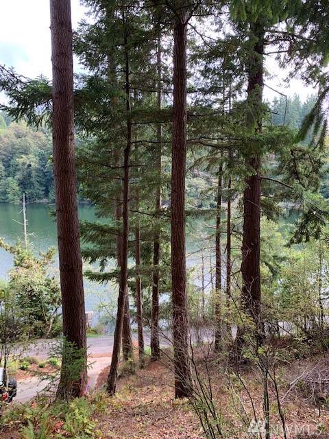 1693 Pebble Beach Trail - Photo 1