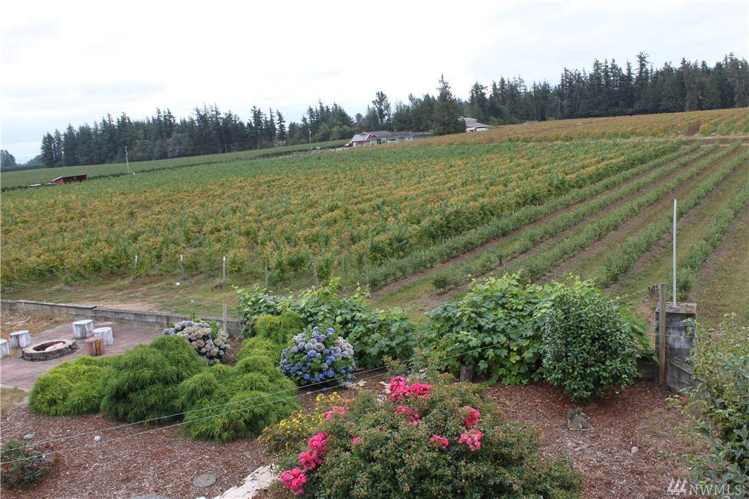 827 Birch Bay Lynden Rd - Photo 1