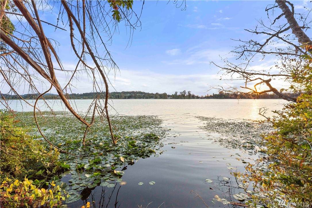 12812-1 Lake Dr - Photo 1