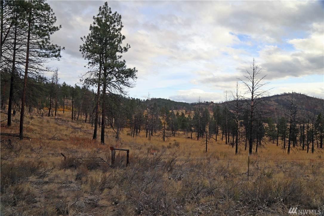 692 Texas Creek Rd Rd - Photo 1