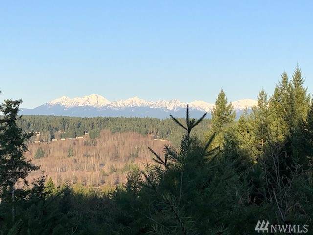 0 Sunlit Canyon Dr - Photo 1