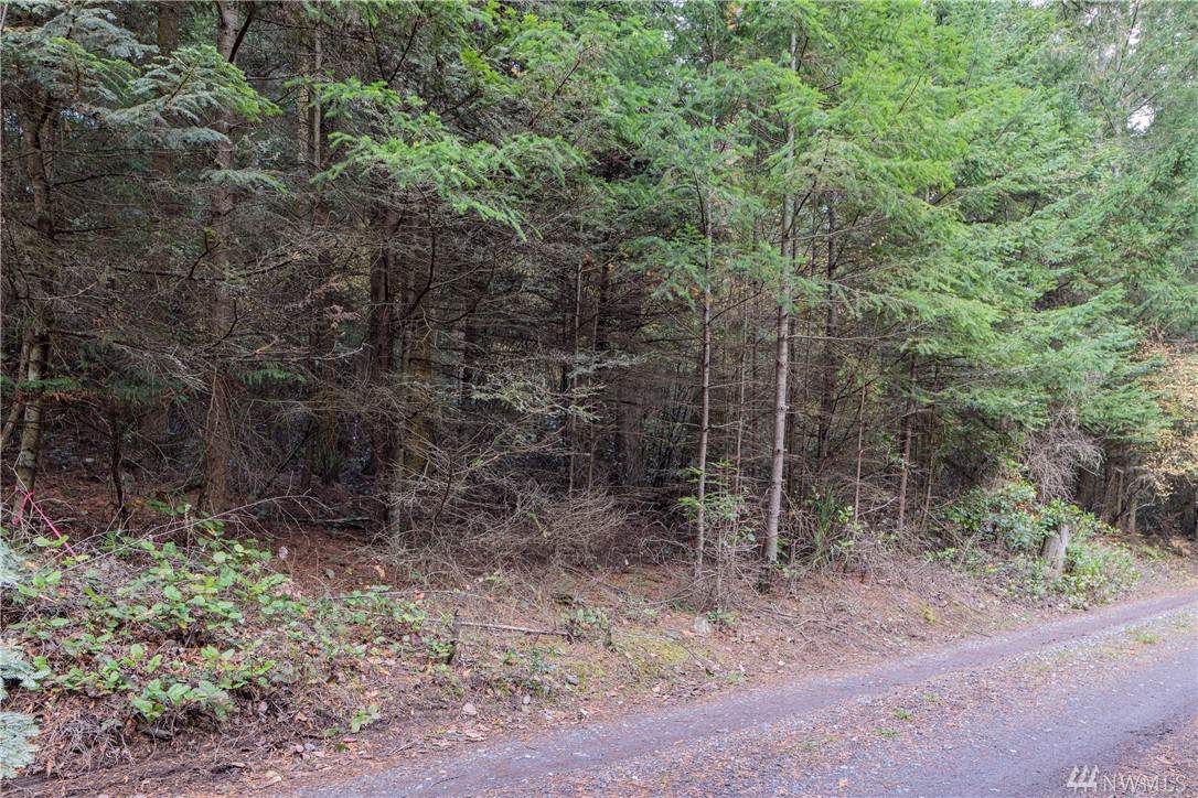 0 Captain Leison Lane - Photo 1