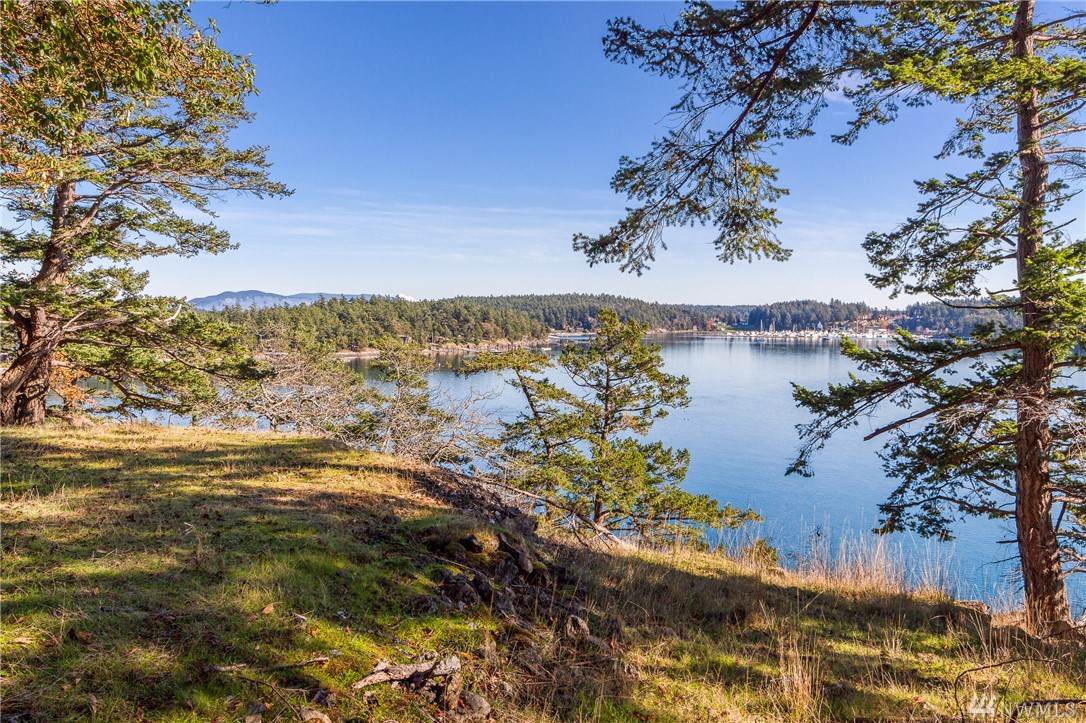 7 Roche Harbor Shore - Photo 1