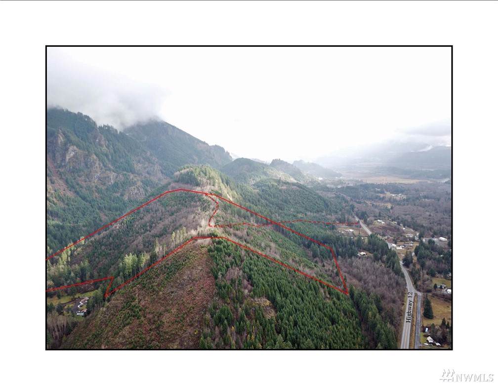 9079 Highway 12 Hwy - Photo 1