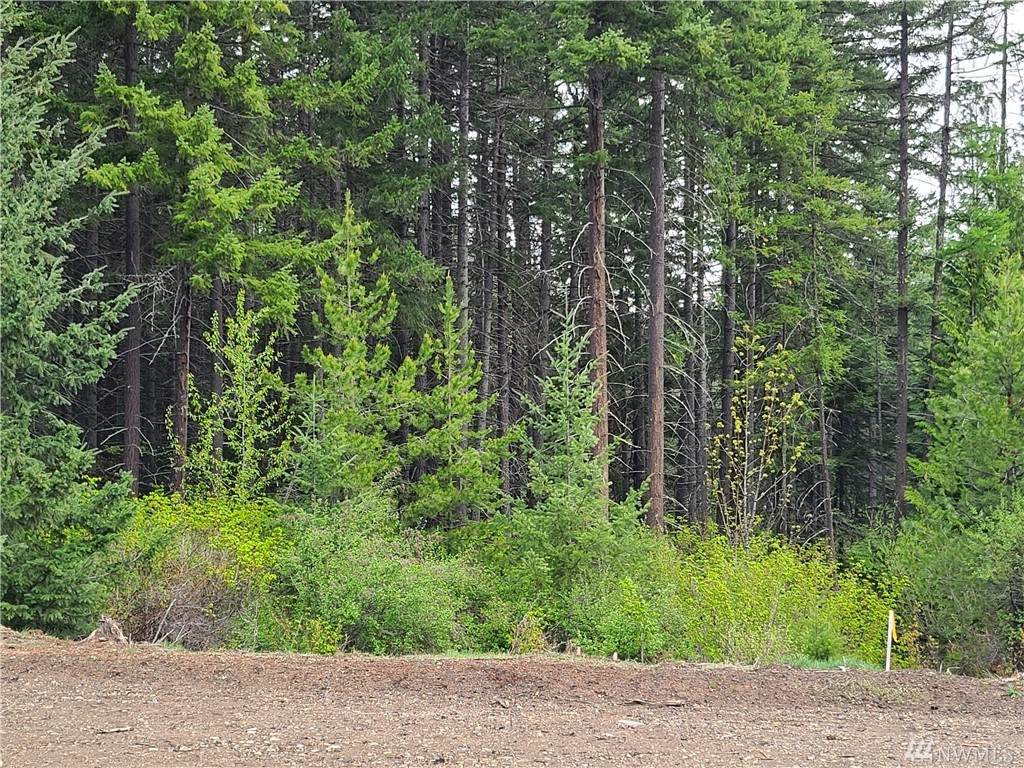 1 Tumble Creek Dr - Photo 1 1 Tumble Creek Dr - Photo 1