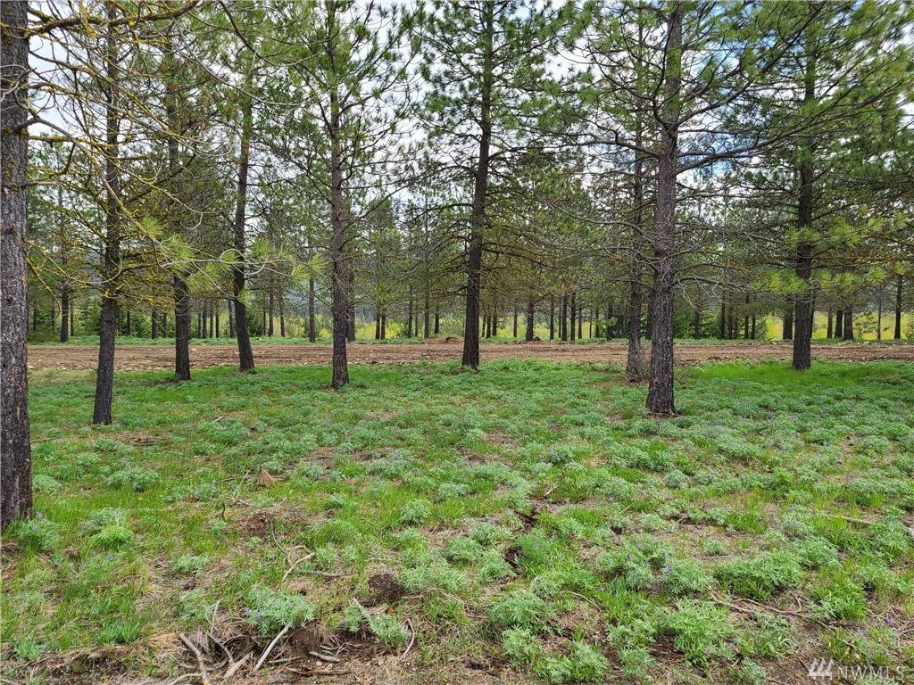 40 Southern Star Lane - Photo 1 40 Southern Star Lane - Photo 1