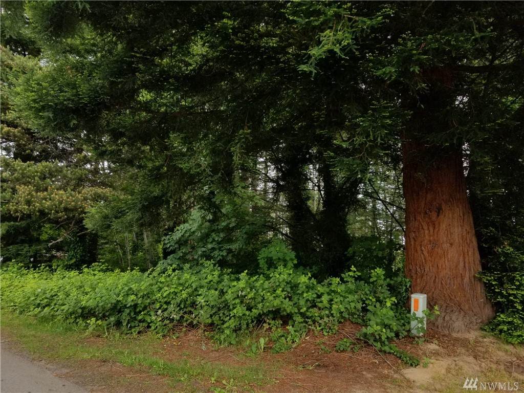321 Barbara Blvd - Photo 1