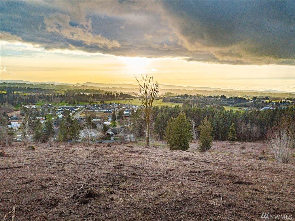 0 Panorama Dr - Photo 1