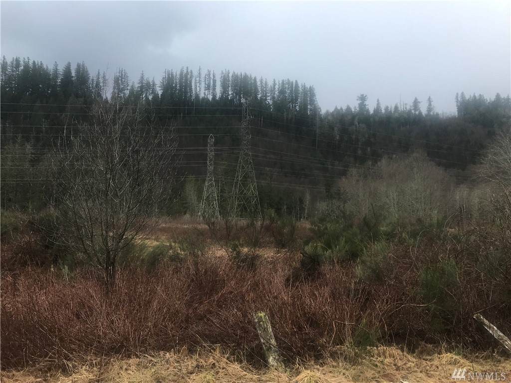 31830 State Route 530 - Photo 1