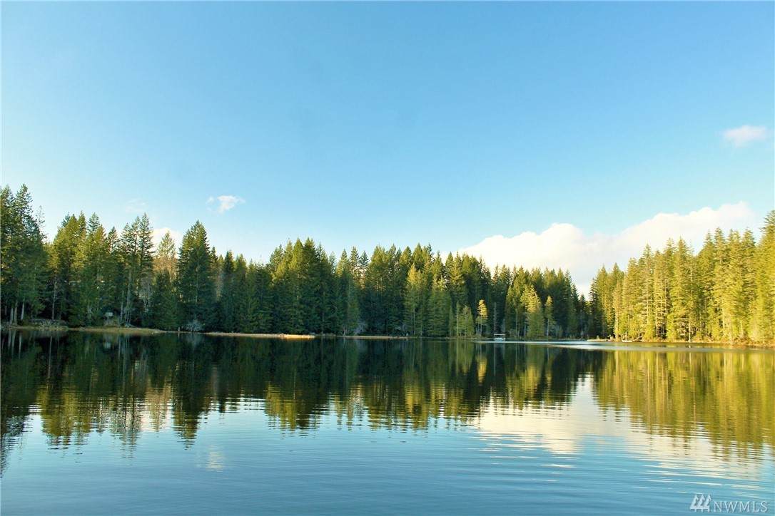 101010 Lake Christine Rd - Photo 1